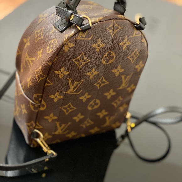 Louis Vuitton Mini Palm Springs - Picture 3 of 5